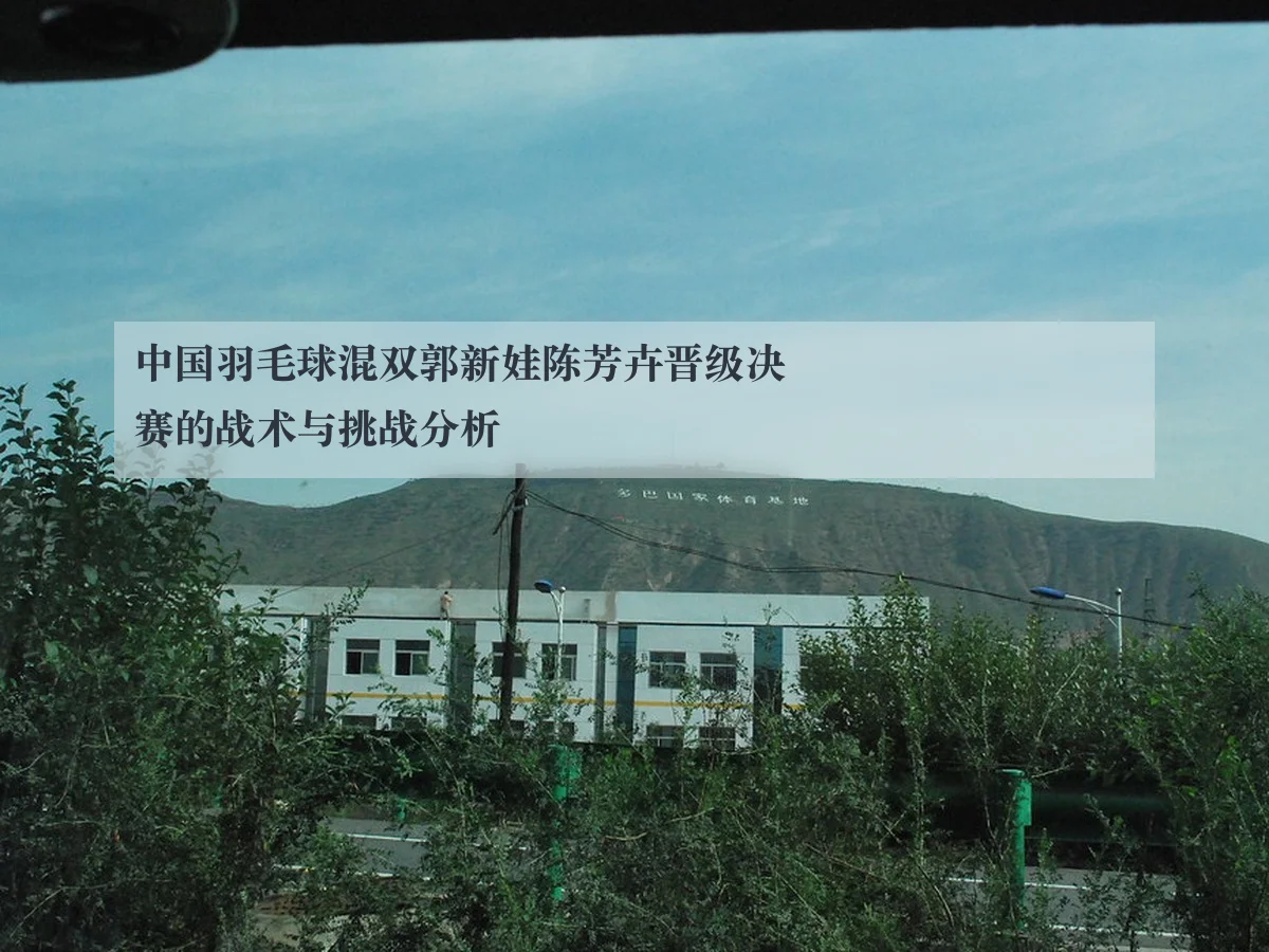 中国羽毛球混双郭新娃陈芳卉晋级决赛的战术与挑战分析